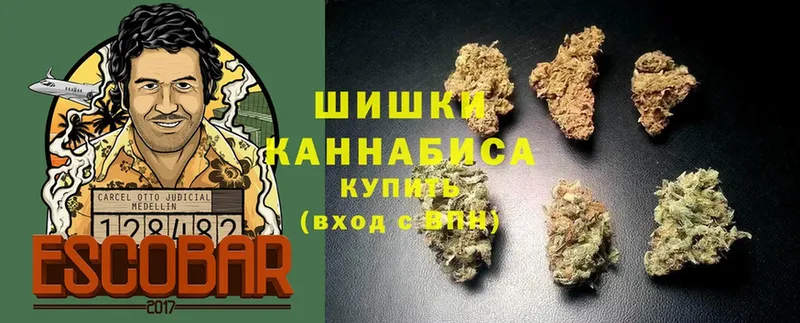 OMG маркетплейс  Ахтубинск  МАРИХУАНА сатива  купить наркотики цена 